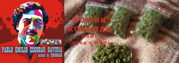 прущие грибы Балахна